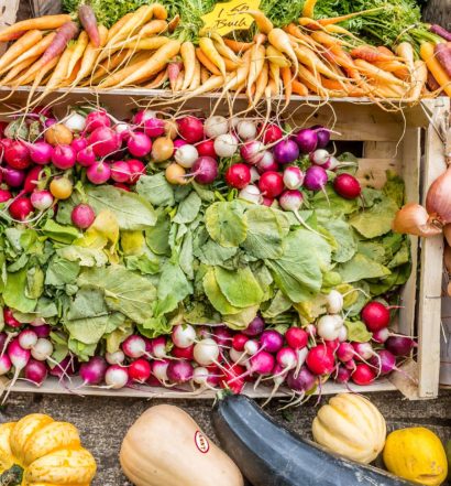 ristoranti vegetariani a venezia