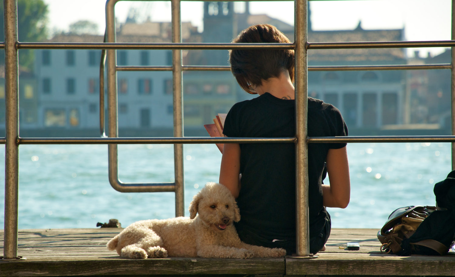 ristoranti pet-friendly
