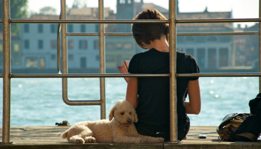 A Venezia con il cane: 5 ristoranti pet-friendly
