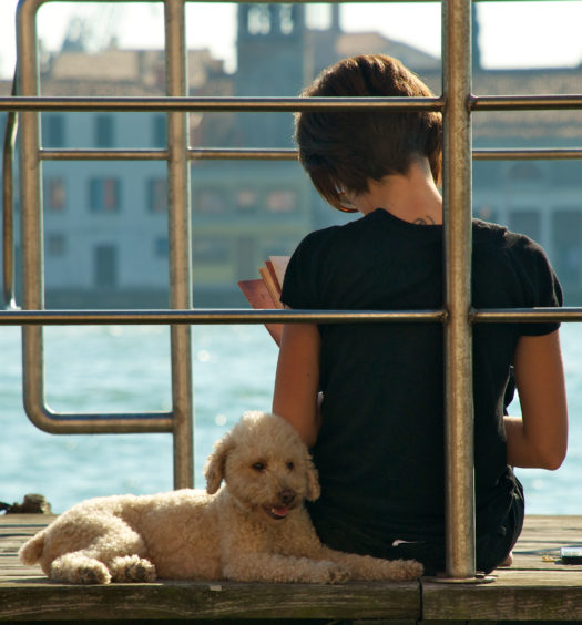 ristoranti pet-friendly