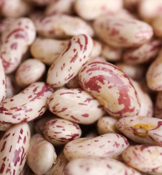 fagioli alla veneziana