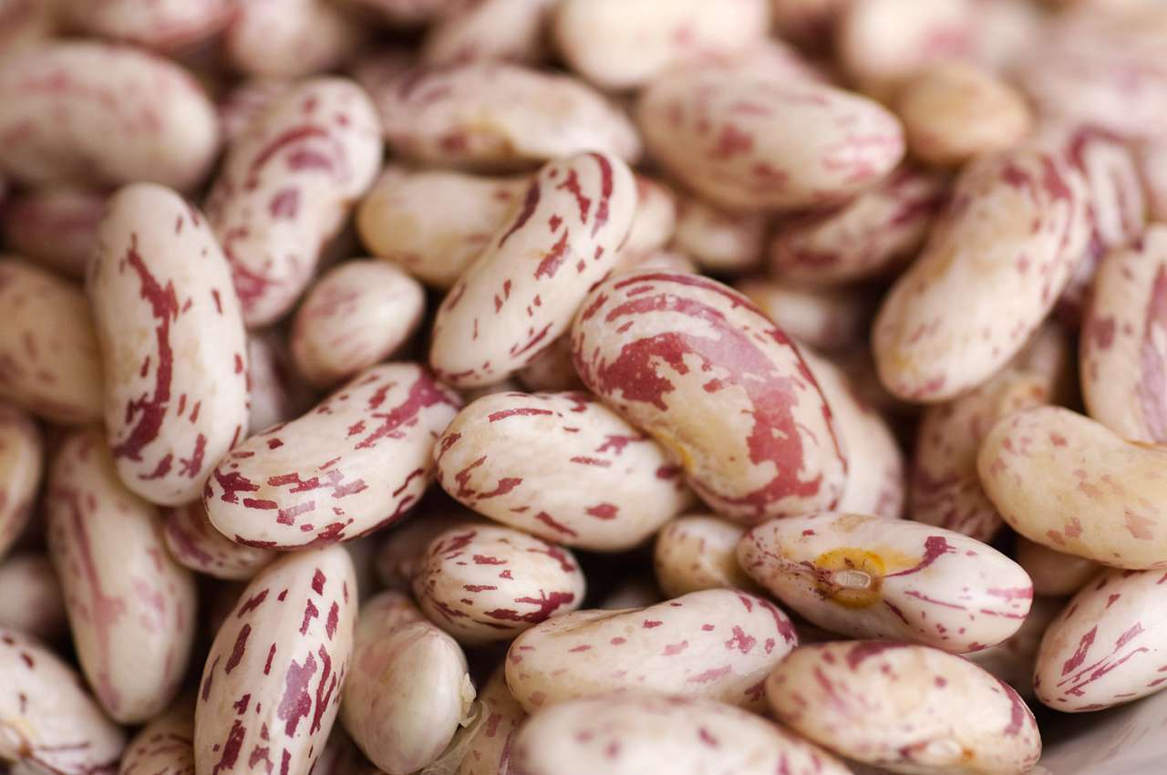 fagioli alla veneziana