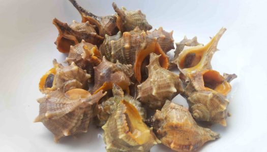 Ricetta dei garusoli