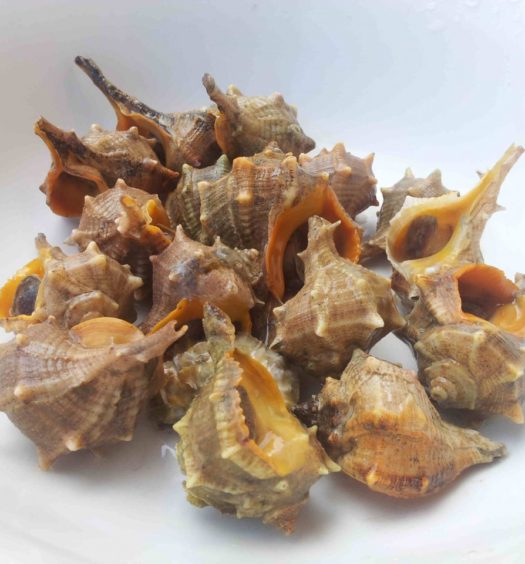 ricetta dei garusoli