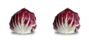 proprietà del radicchio