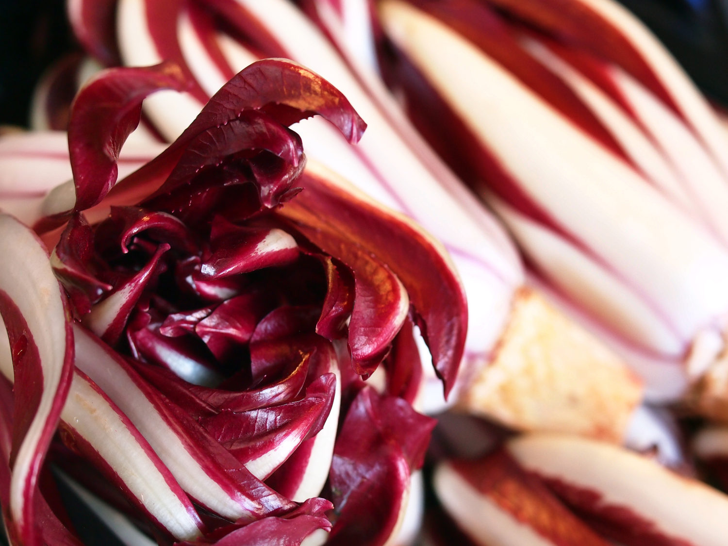 proprietà del radicchio