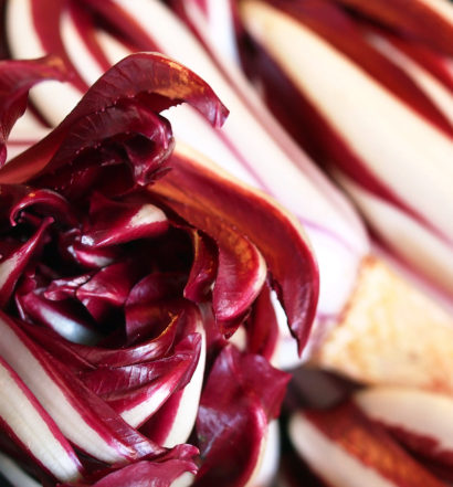proprietà del radicchio