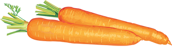 carote